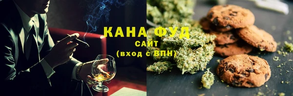 ПСИЛОЦИБИНОВЫЕ ГРИБЫ Дмитриев