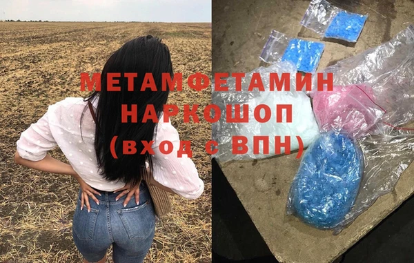 ПСИЛОЦИБИНОВЫЕ ГРИБЫ Дмитриев