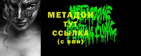 ПСИЛОЦИБИНОВЫЕ ГРИБЫ Дмитриев