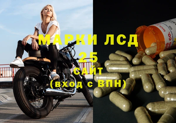 PSILOCYBIN Дмитровск