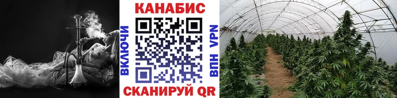 Бошки марихуана White Widow  как найти закладки  mega зеркало  Обоянь 